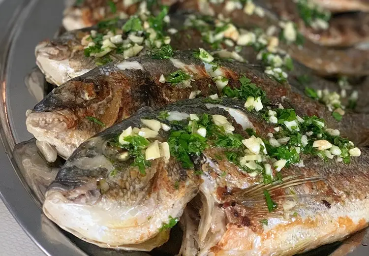 Vila Stosic Fish