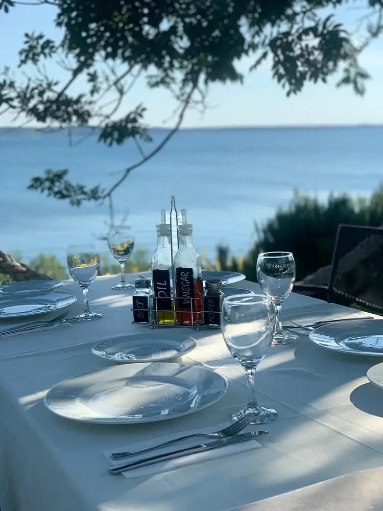 Vila Stosic Table Cover